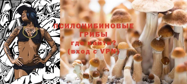 твердый Михайловск