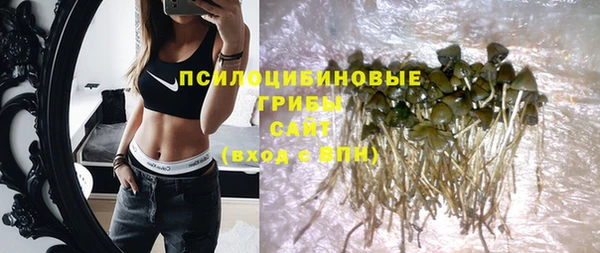 прущая мука Михайлов