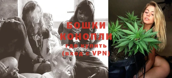 твердый Михайловск