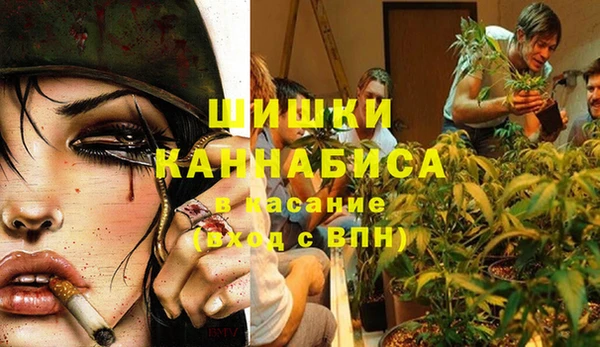 твердый Михайловск