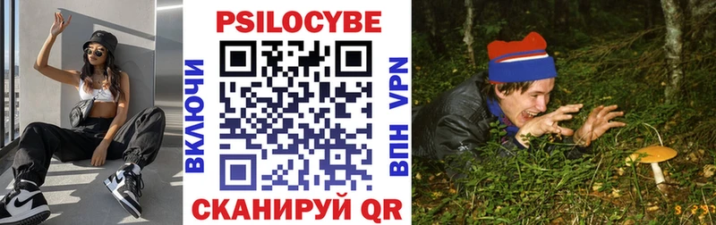 Галлюциногенные грибы мухоморы  Купить закладки  Махачкала 