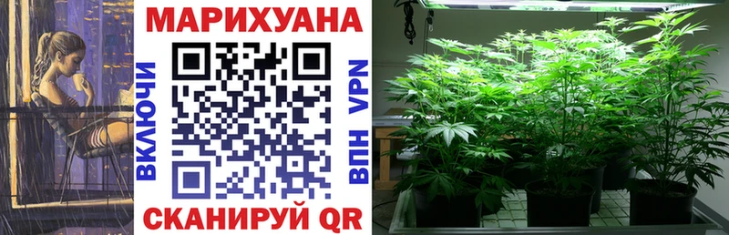 Купить  Махачкала  Бошки Шишки тримм 